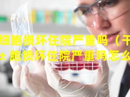 干细胞损坏住院严重吗（干细 🐱 胞损坏住院严重吗怎么治疗）